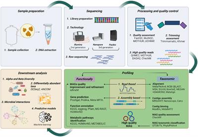 A metagenomic approach to demystify the anaerobic digestion black box and achieve higher biogas yield: a review